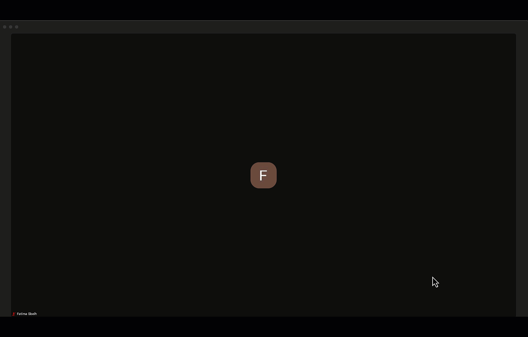 zoomvideo1.gif