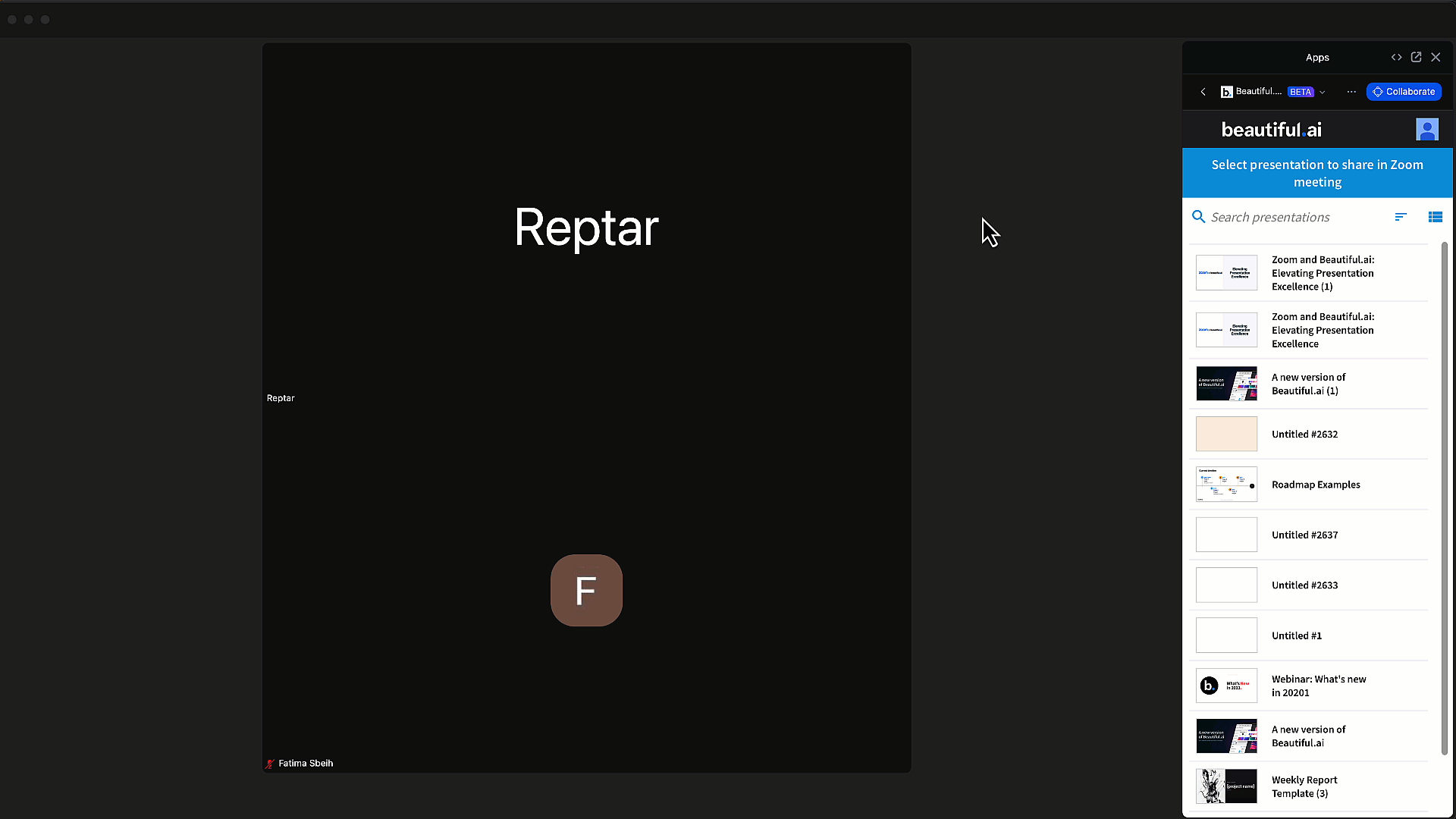 zoomvideo2.gif
