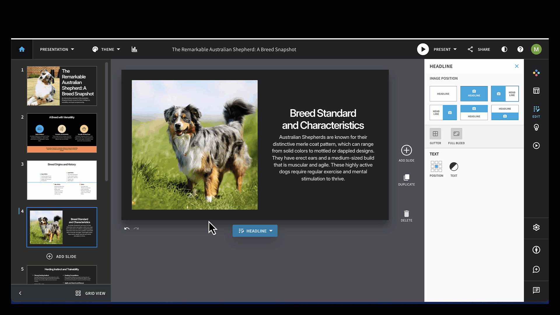 accessphotoedit.gif