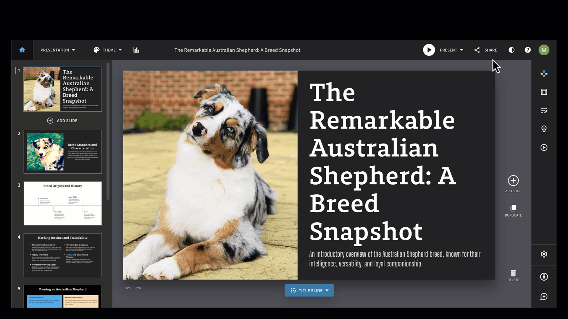 collabeditor1.gif