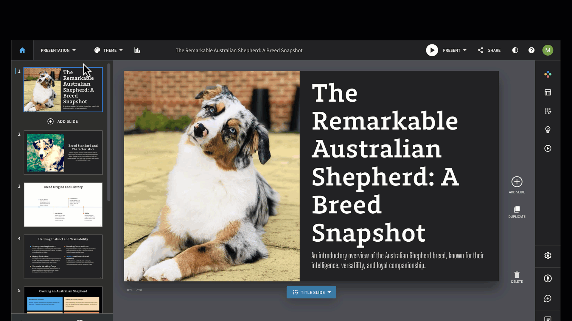 collabeditor2.gif