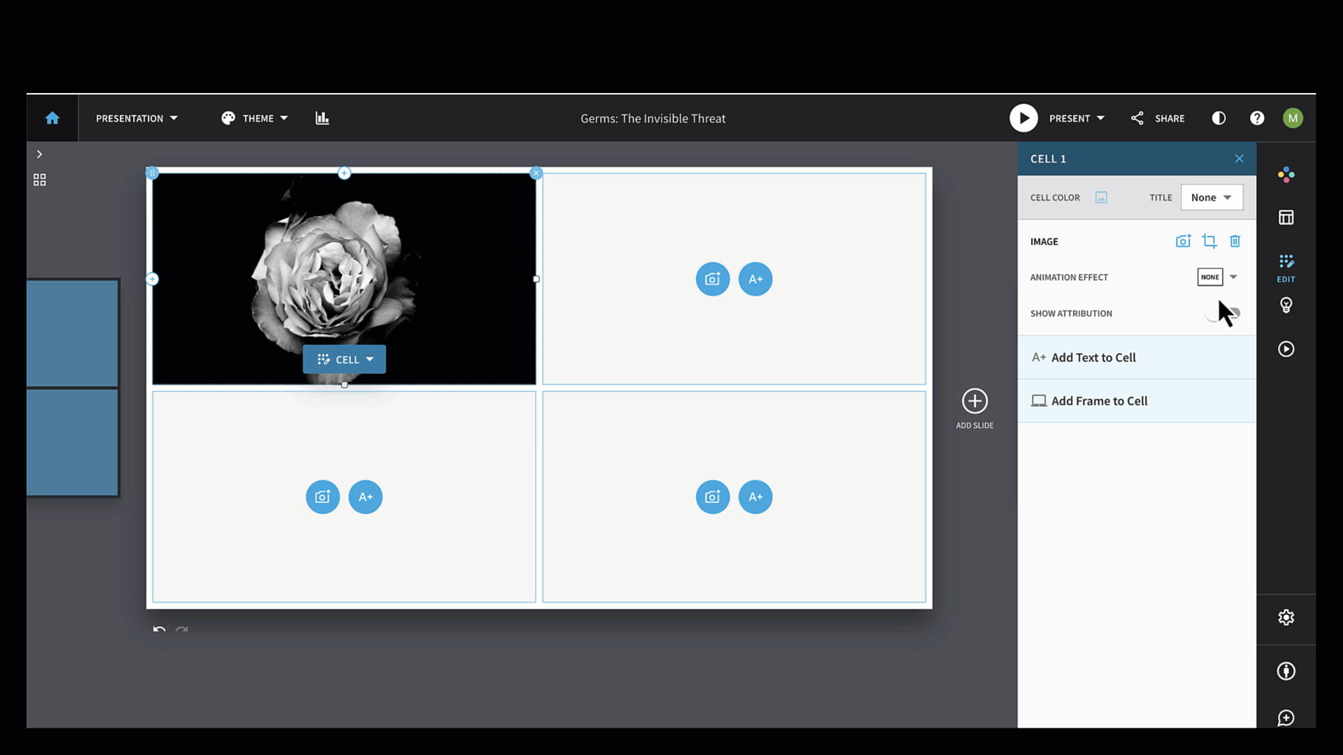 photogridanimation.gif