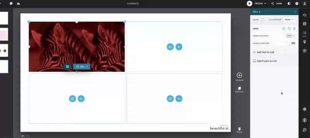 animation1.gif